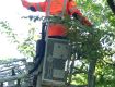 19_Lehrgang_Technische_Hilfeleistung_Wald_2011.jpg