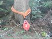 32_Lehrgang_Technische_Hilfeleistung_Wald_2011.jpg
