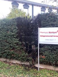 Foto der verbrannten Hecke in Wormersdorf.