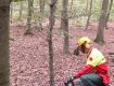 02_Lehrgang_Technische_Hilfeleistung_Wald_2011.jpg