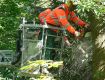 25_Lehrgang_Technische_Hilfeleistung_Wald_2011.jpg