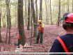 09_Lehrgang_Technische_Hilfeleistung_Wald_2011.jpg