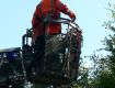 17_Lehrgang_Technische_Hilfeleistung_Wald_2011.jpg