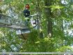 33_Lehrgang_Technische_Hilfeleistung_Wald_2011.jpg