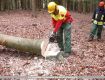 06_Lehrgang_Technische_Hilfeleistung_Wald_2011.jpg