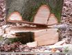 10_Lehrgang_Technische_Hilfeleistung_Wald_2011.jpg