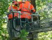 29_Lehrgang_Technische_Hilfeleistung_Wald_2011.jpg