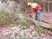 08_Lehrgang_Technische_Hilfeleistung_Wald_2011.jpg